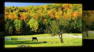 Ramio Lin - Its a Magic