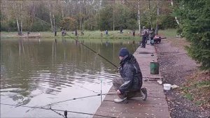 Обзор с нижнего водоёма. Клёве место, Лосиный остров.