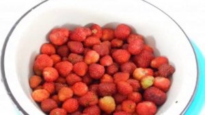 Клубника с сахаром на зиму без варки