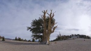 Красивое видео о природе на Земле