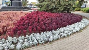 Белгород район Ж.Д. вокзала 28.09.25.
