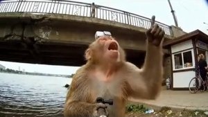 Костя Хуторянский отдыхает)