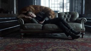 Кармышев и кот