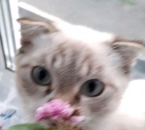 играем в роблокс