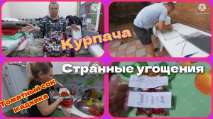 Всё отменили/москитка своими руками и  мн.др
