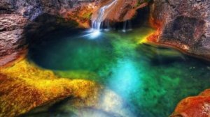 Смотри и удивляйся ! (1)