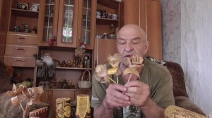 Разноцветная береста для поделок