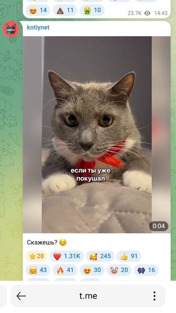 Скажешь ☺️