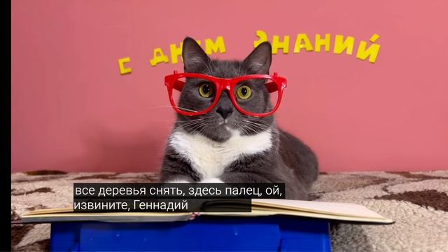 Котики идут в школу🍂 2 часть