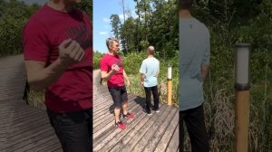 Видеоурок. Прямая спина | Тайцзицюань