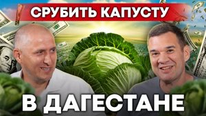 Фермеры Дагестана: капустная империя России и секреты урожая | Своя еда