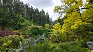 Канада. Прогулка в ботанических Садах Бутчартов в формате 4К