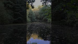 Осенний лес,владения эльфа, отдых, природа,вода, вязание для начинающих, вязание крючком, вязание