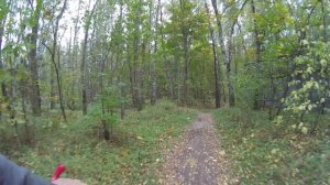 Лес осенью после дождя на велосипеде.