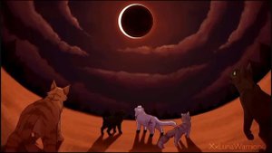 Sol • Everything Moves • Complete Warriors Cats M.A.P.