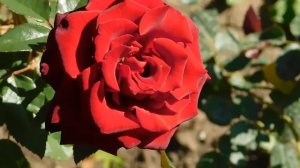 22==09==2025  ПВН  КМР   (220)