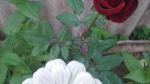 А у нас с утра мыша 🐭в мышеловке ! 😱Яичница с утра ! Доброе утро страна !Юг России 🏝️.