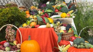 Богослужение 2025.09.28 Жатва