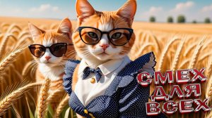 Приколы с котами! СМЕШНЫЕ ЖИВОТНЫЕ Смешные коты и кошки! САМЫЕ СМЕШНЫЕ ЖИВОТНЫЕ!