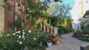 Утопающий в цветах гостевой дом в Зеленоградске. Калининградская область