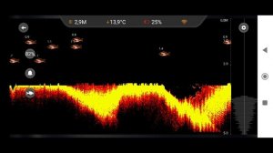 Рыба есть...но не клюёт...