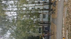 обзор на малого