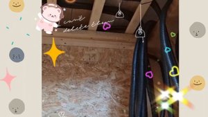 1000035636.mp4 (Собака наблюдает за устройством плоскости каркаса, обрезкой пола в доме А-фрейм)