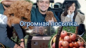 САМВЕЛ АДАМЯН, ГАРИК И КЕРРИ, НОЧНОЙ СБОР УРОЖАЯ, ПРИШЛА ОГРОМНАЯ ПОСЫЛКА..