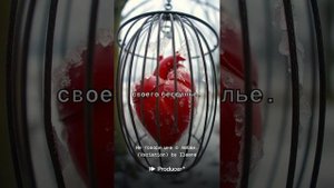 Не говори мне о любви.