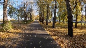 Последний тёплый день сентября. 40 км по осеннему городу.