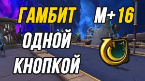 +16 Тазавеш: гамбит Со'леи | Single-Button MM Hunter 11.2