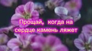 Прощай, когда на сердце камень ляжет