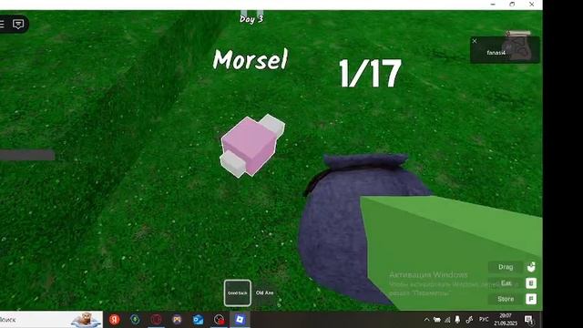 обычная катка в 99 ночей в лесу