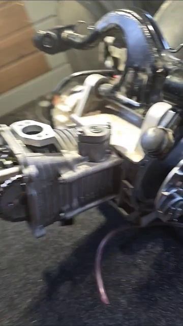 где стартер 🤔 смотреть онлайн