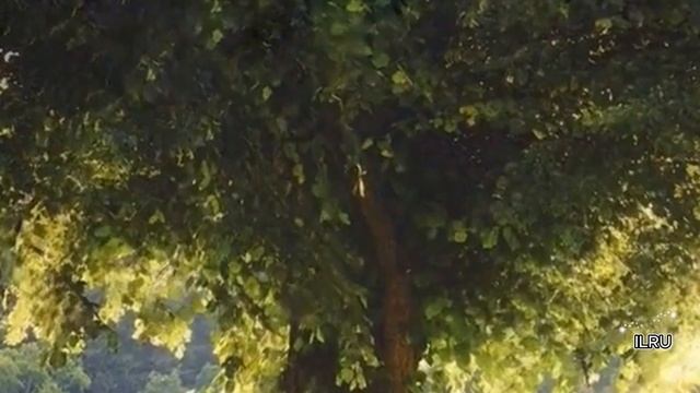 Истории из жизни|Муж ушел к любовнице, вернулся, а потом подал на развод|Аудио рассказы|Аудиокниги