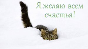 Молитва за мир во всем мире! Live 28.09.2025