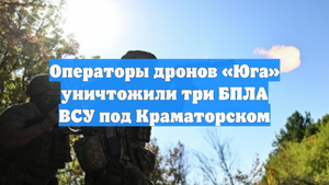 Операторы дронов «Юга» уничтожили три БПЛА ВСУ под Краматорском