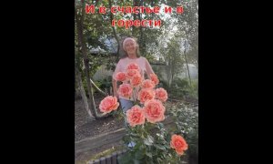 Наша сказка ч.1