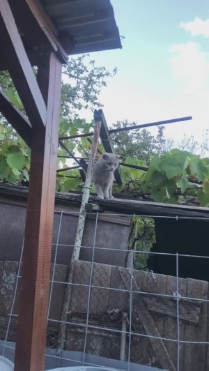 Трансляция с ютуб (27.09.25) Я в ШОКЕ!