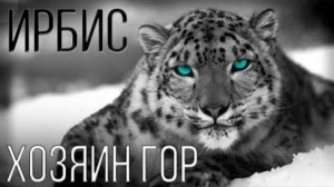 ИРБИС