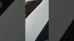 1000116008.mp4
