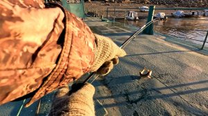 Рыбалка с причала 28 сентября 2025 г.