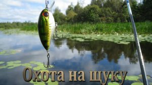 Охота на щуку 1920 X 1080