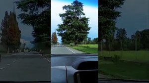 Дороги Абхазии.