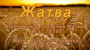 Жатва 2025г. // воскресное богослужение от 28.09.2025г.