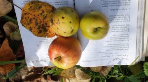 Святая троица