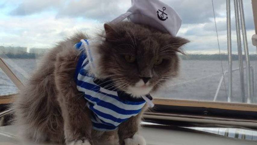 Осенний поход на лодке по р.Кама. Часть 2 смотреть онлайн