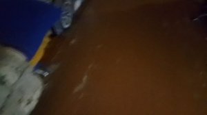 Наша квартира и наши герои!