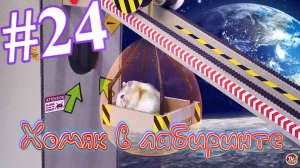 Хомяк в лабиринте (24 серия)