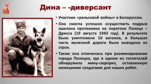 Собаки на войне. Гайнбихнер М.В.